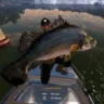 Is Fishing Planet Cross Platform?