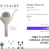 Flasky Flowers Shark Tank Update