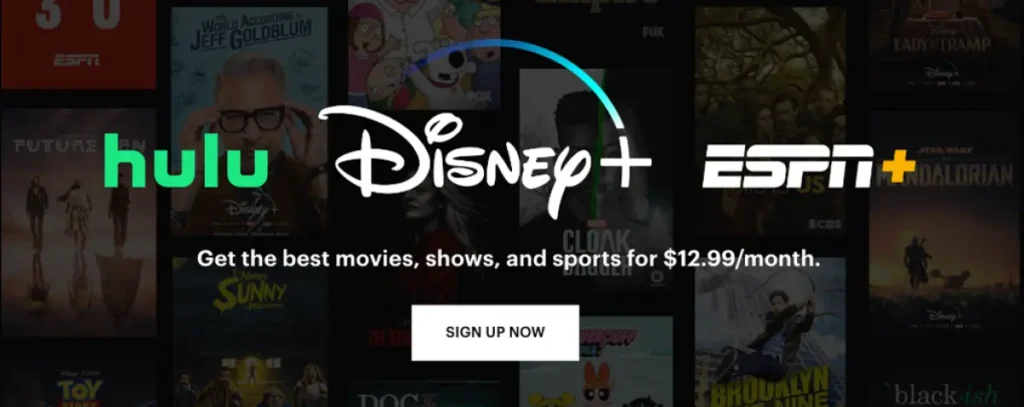 How to Activate Hulu on Disney Plus